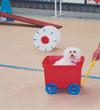 Tara going for a Ride