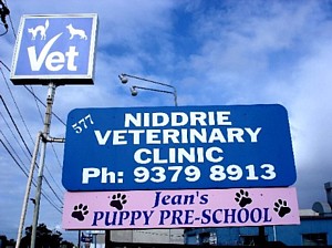 Jeans Puppy School Niddrie