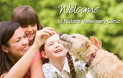 Niddrie Veterinary Clinic