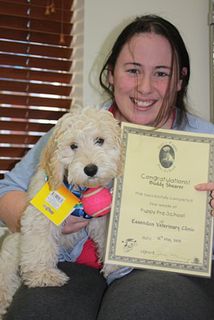 2012 Graduate Buddy