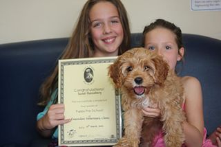 2012 Graduate Scout